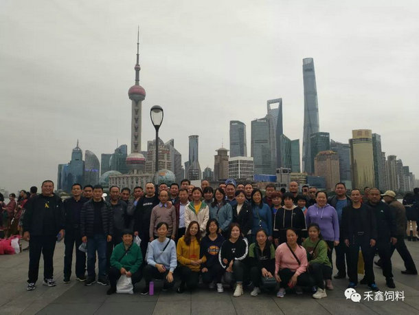 "���Ή�(m��ng)֮����g��(l�� )�A�|��"2019����A�|֮�ÈA�M(m��n)�Y��